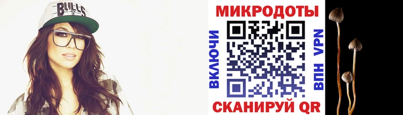 хочу   Ардон  Галлюциногенные грибы Psilocybine cubensis 